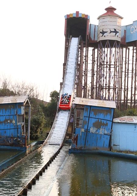 少女心炸裂！松江『蝴蝶节』来啦！（内有女生专属超多福利）