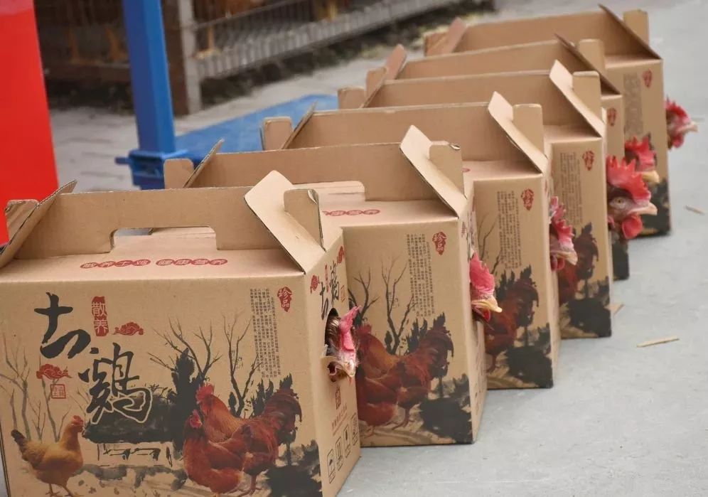 福乐枣庄贺年会｜古城祥和庄园“年味”十足！