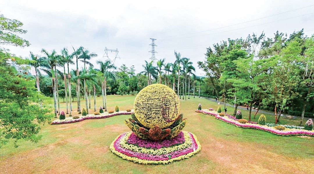 带你玩转深圳攻略在这里,深圳一日游详细攻略大全最新