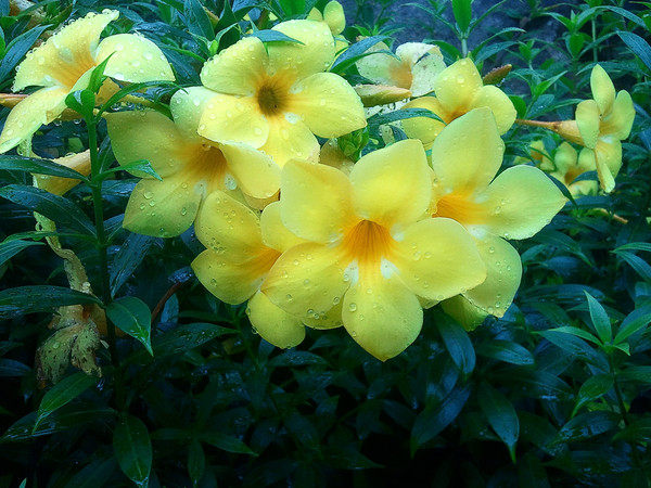 三亚自由行3-4天攻略带小孩,三亚自由行含机票