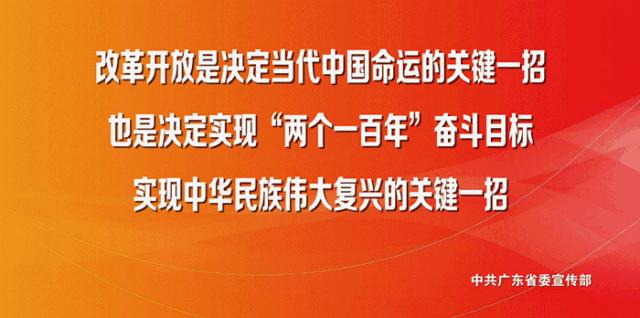 珍贵小学生的老照片,佛山珍贵老照片视频