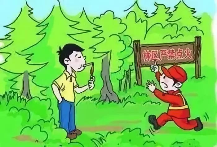 消防官兵扑灭森林大火视频,各地山火扑救情况