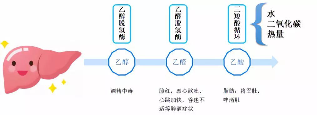 药师提醒用药小常识,药师应有哪些用药提醒