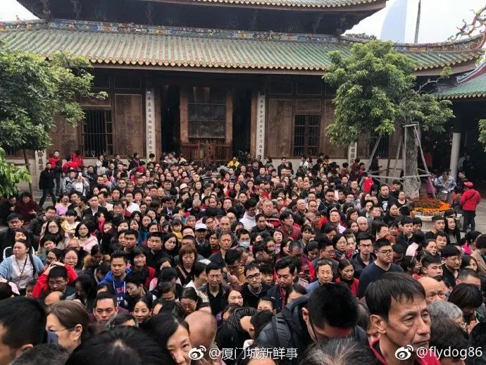 人从众第四个字怎么念,人从众什么意思