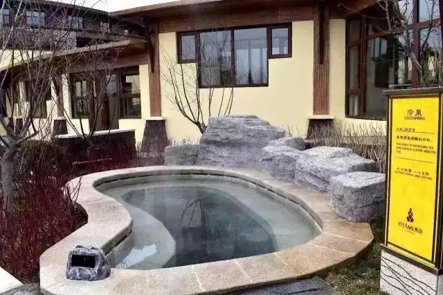 大连摘草莓一日游,大连摘草莓适合去的地方