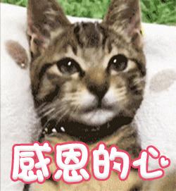 种草压岁钱,承包你一年的笑点炸雷