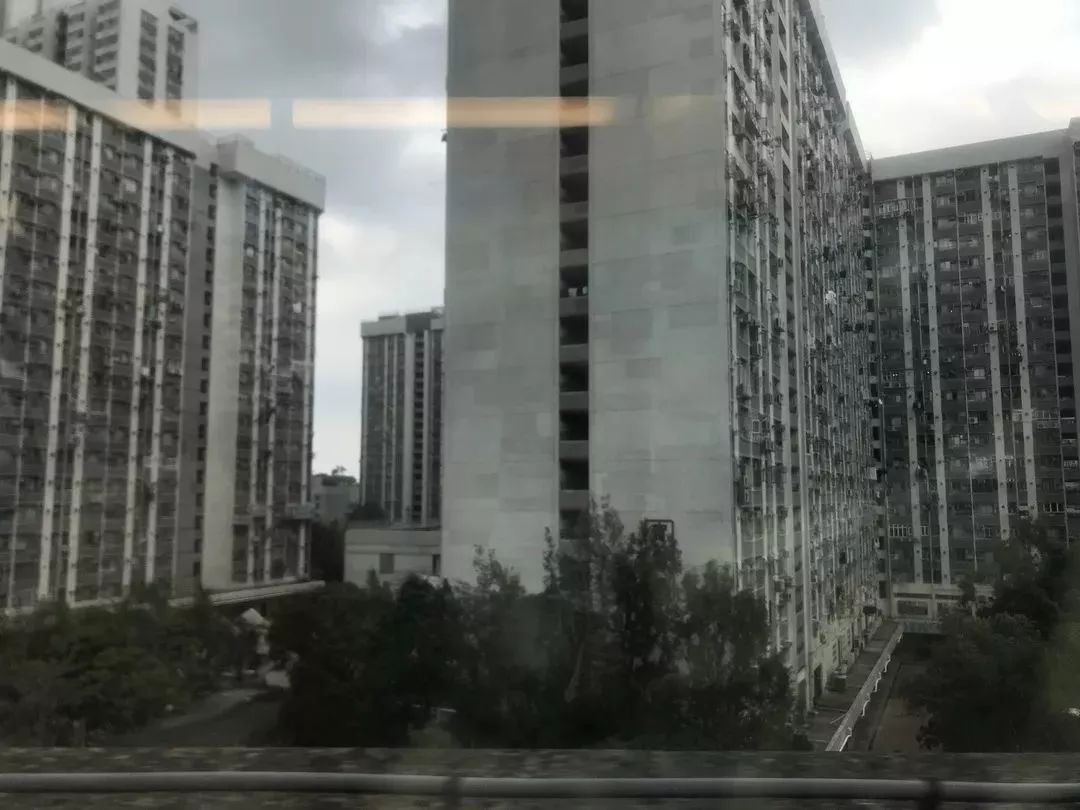 菜市场里看摊日常,香港九龙城菜市场