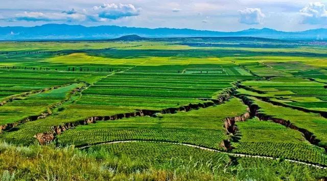 不去丽江玩行不行,不要去丽江