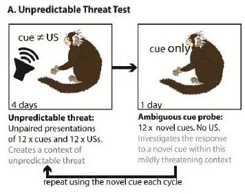 酪氨酸可以缓解焦虑吗,谷氨酸的治疗作用
