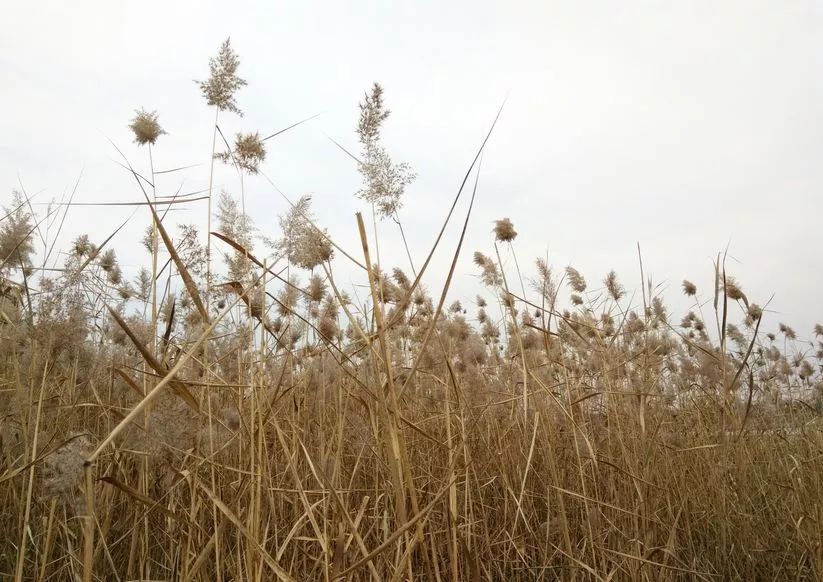 北京最良心的八大免费景点,北京60岁旅游免费景点