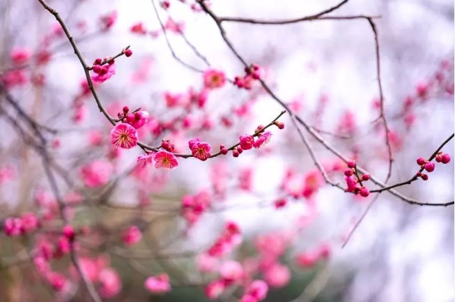 春节假期没嗨够怎么办？又一大波美轮美奂的景点等着你！乘公交直达