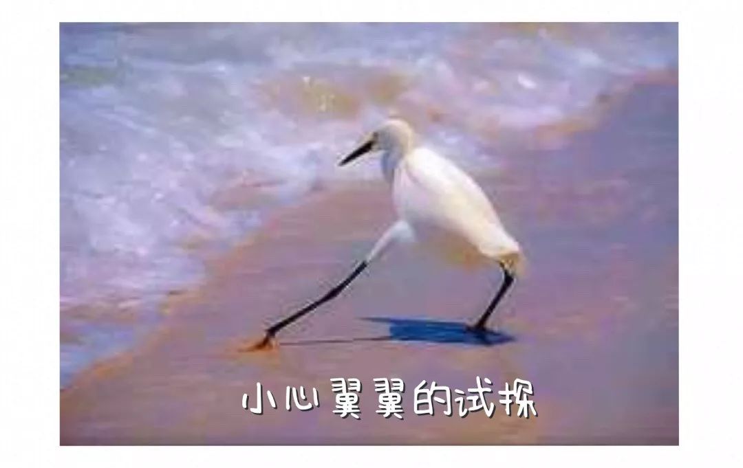 微信转账转错了如何快速的退回来,转账转错了可以申请银行退回来吗