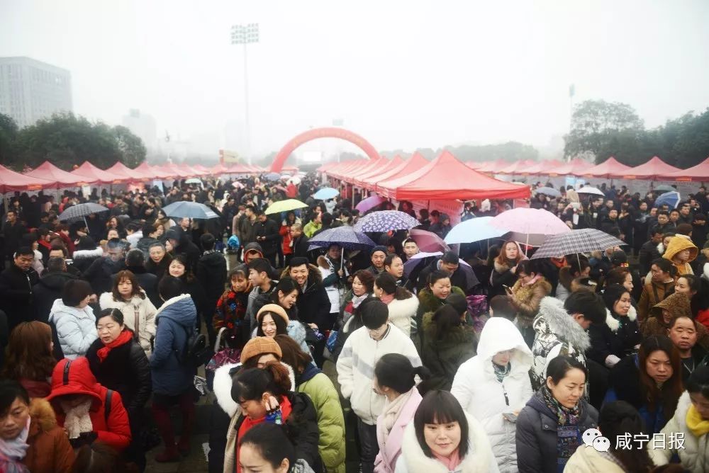 求职不用去远方家乡就是好地方,春风行动助力新年求职路