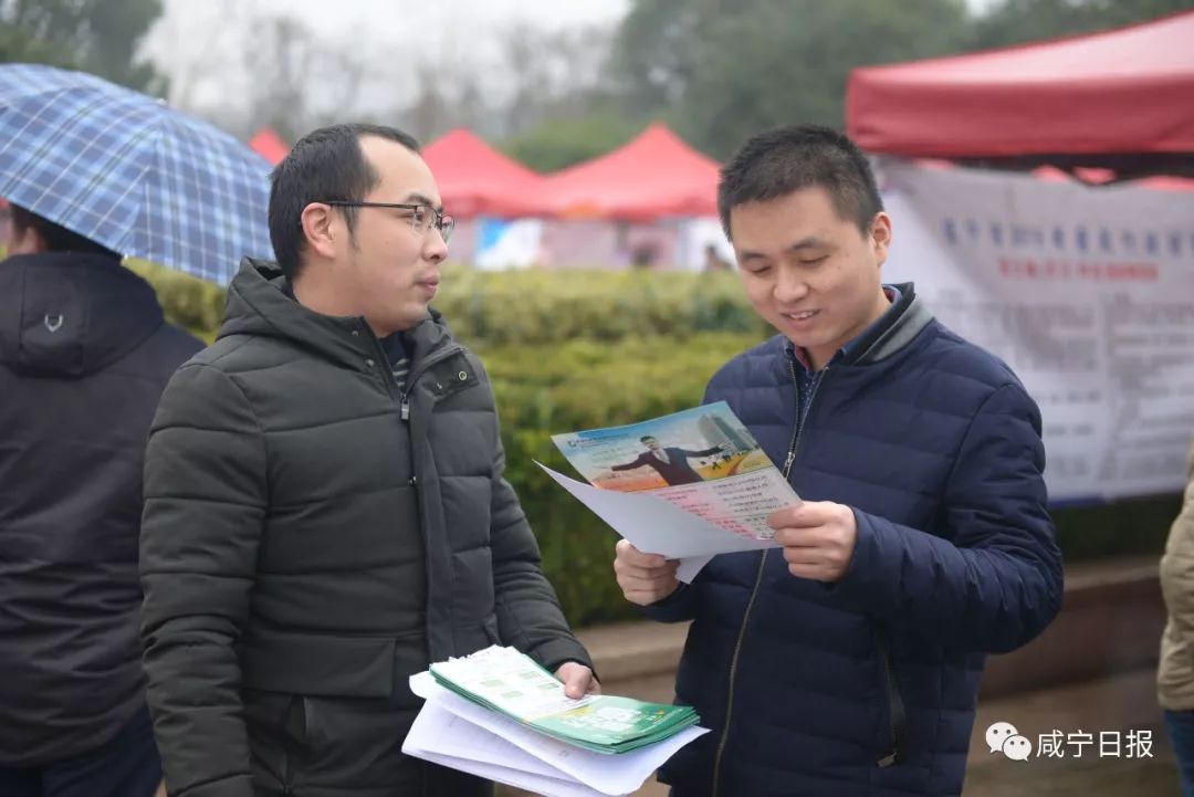 求职不用去远方家乡就是好地方,春风行动助力新年求职路