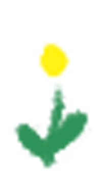 养生堂3分钟查出3种癌完整视频,养生堂三分钟检查肠癌全部视频