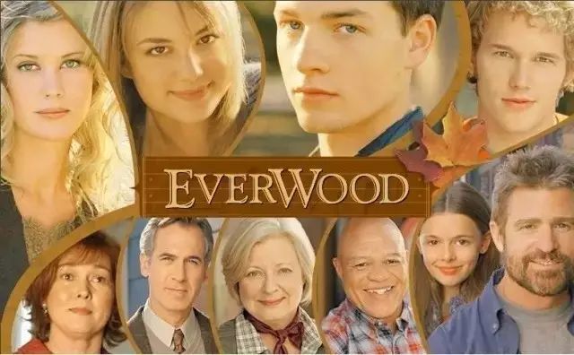 可以练英语听力和口语的美剧,推荐10部适合学口语经典美剧