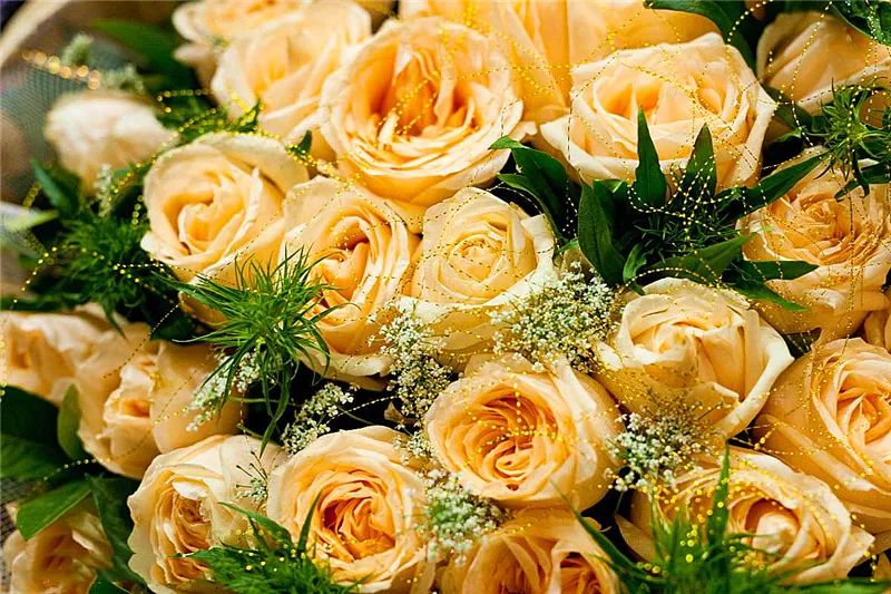 情人节浪漫仪式感玫瑰花,浪漫情人节甜蜜献礼