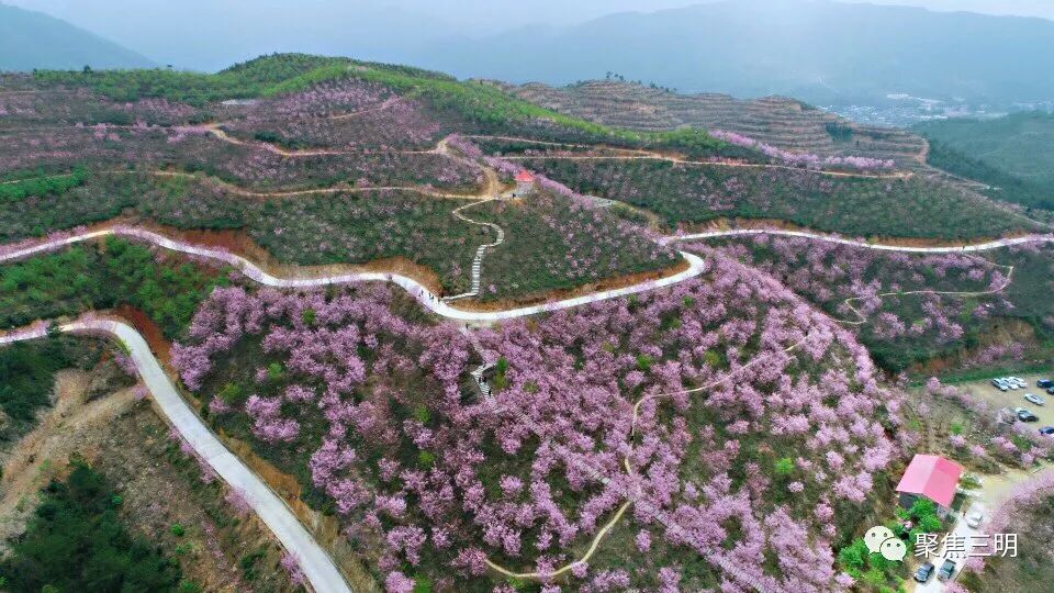 这是一份来自三明的“春天使用说明书”，请仔细阅读！