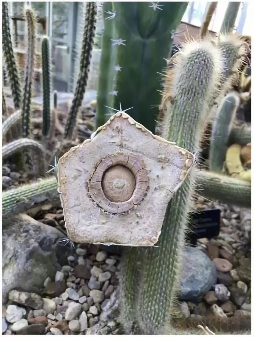 这些图一直看一直爽！原来平凡生活中藏着这么多奇迹……