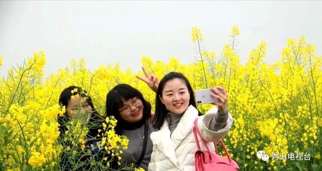 这项行动启动，秀山又要花一大笔钱，秀山人却拍手称赞！