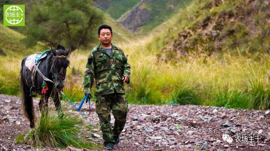 青春因创业而美丽人生因奋斗而精彩——记肃南县桦树林生态养殖农民合作社李雪云