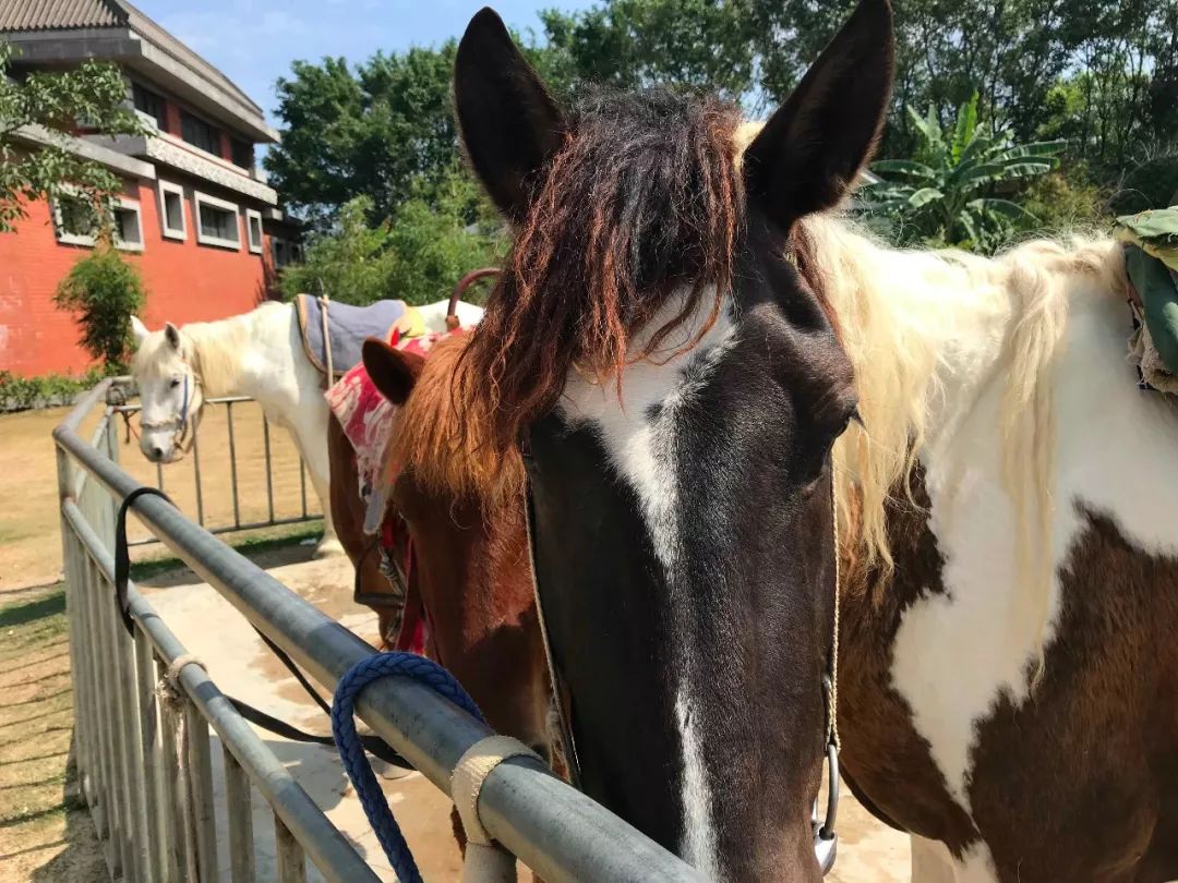 去日本从哪里出发最便宜,去日本从哪出发最便宜