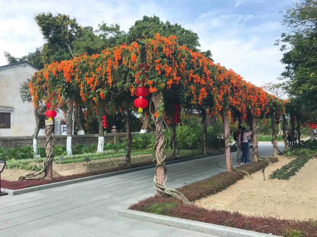 去日本从哪里出发便宜,去日本从哪里出发最便宜