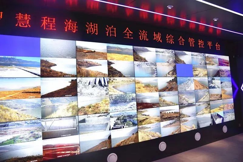 郑艺丽江新消息,郑艺丽江最新消息