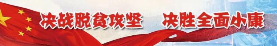 【焦点】一万名、新建农厕、“两癌”免检......2019年这“10件实事”，定了！