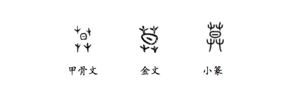 古人避开一切和黑暗有关的字眼，只用光与月为元宵命名