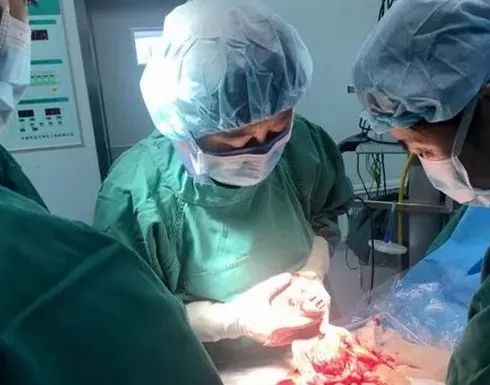 「动态」市中心妇产科医院多学科联合救治妊娠期宫颈癌患者