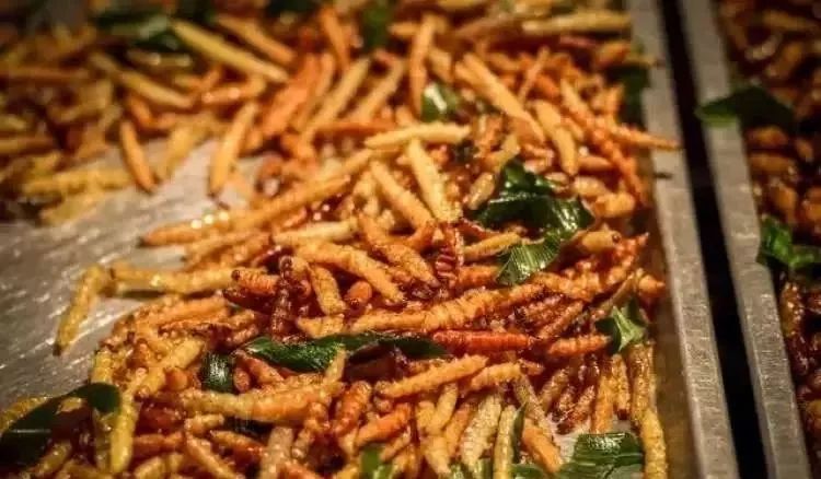 如果地球去流浪会遇到哪些困难,地球真的有必要去流浪吗