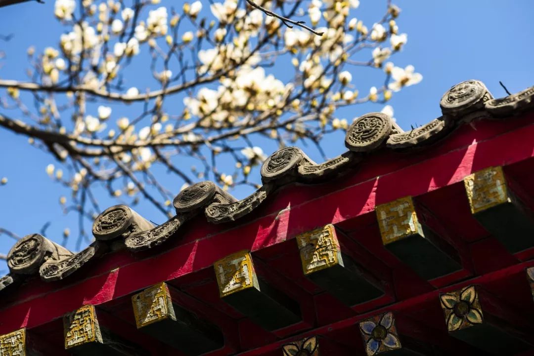 夜话丨听，这是春天的声音