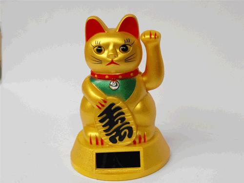 撸猫的那些事,中国撸猫圣地