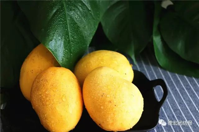 德宏景颇小伙弄丁眼里的电商经：缅甸“钻石”芒果惹人爱！