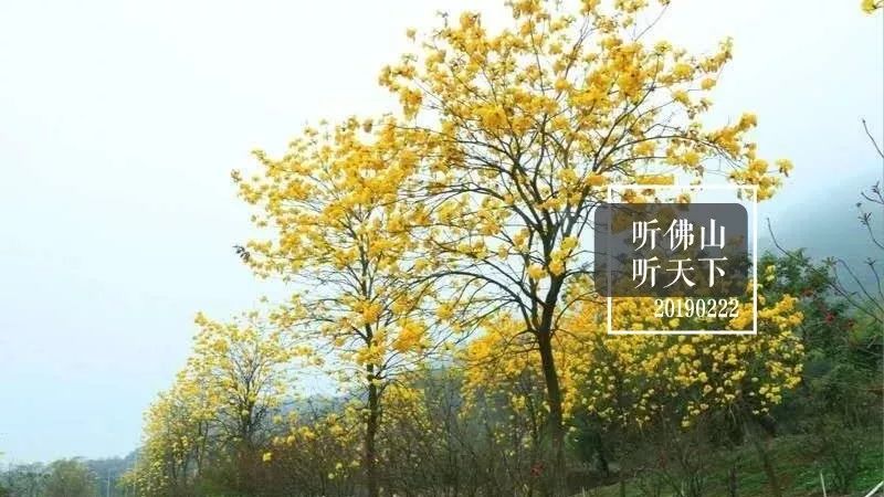 佛山一环高速费多少,佛山一环高速公路收费标准