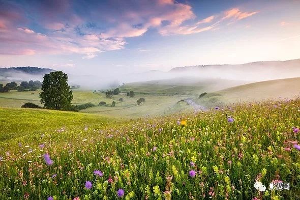 尼康历代获奖摄影作品欣赏,国际风光摄影师大赛