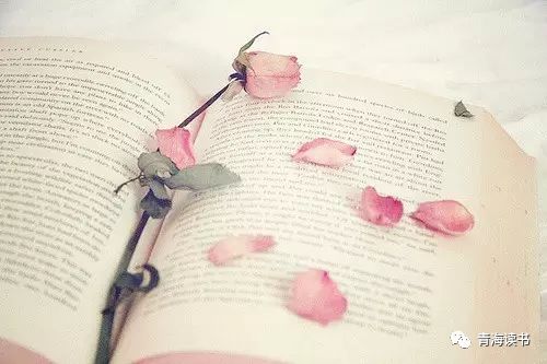 冶桂莲专栏：一个回族妇女的文艺情结