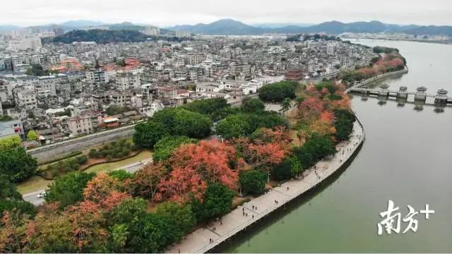 广东强对流天气回南天,广东天气预报最新雾天