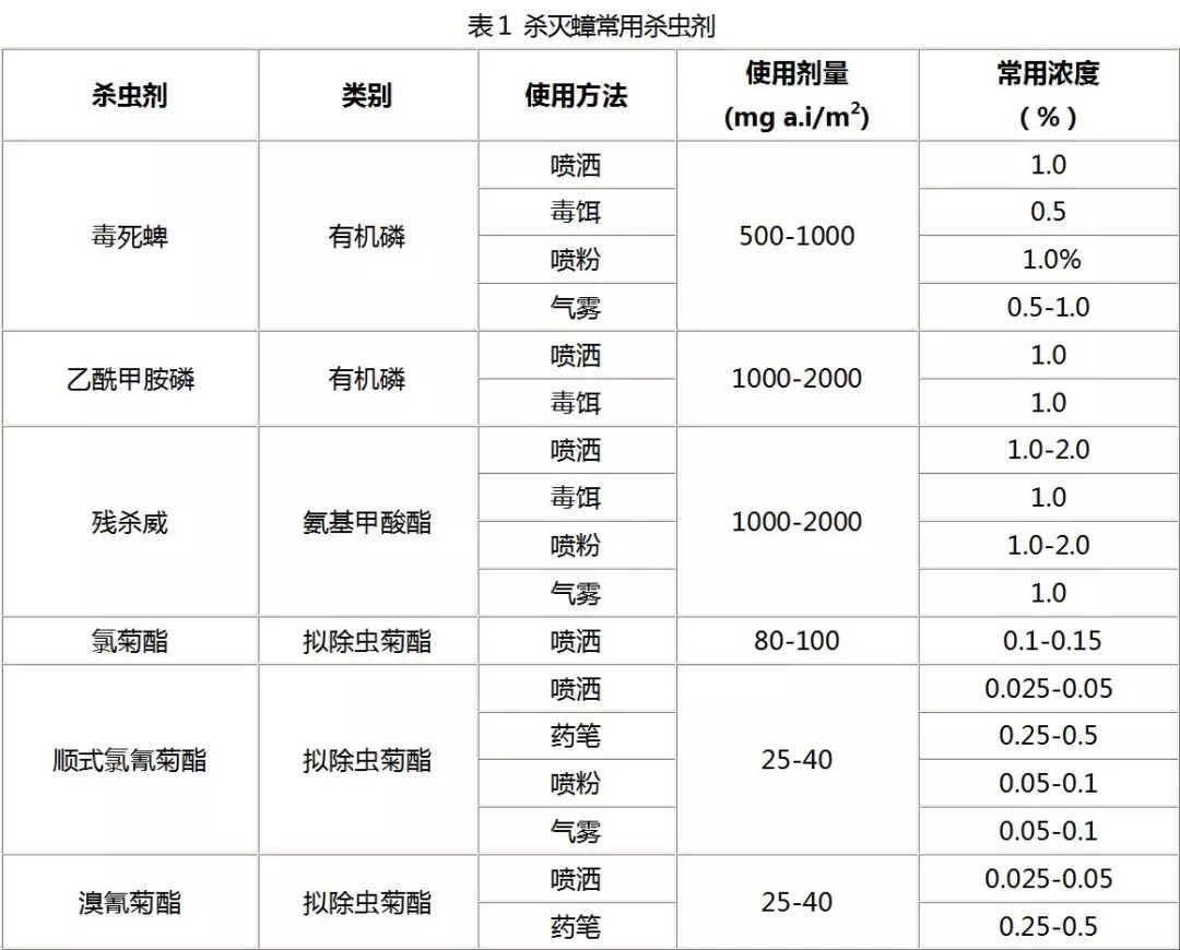 除蟑专家教我用一招,灭蟑螂技巧方法
