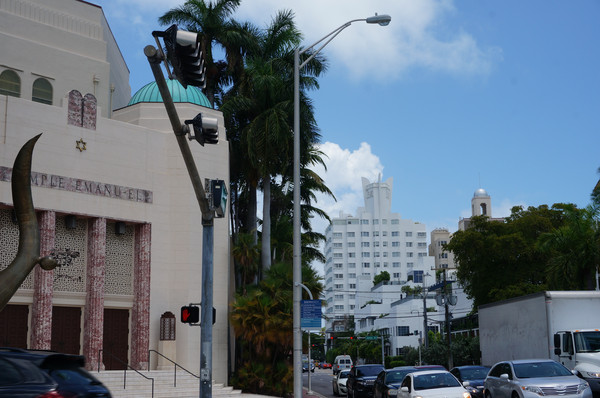 老人旅行欧洲,12位老人游上海