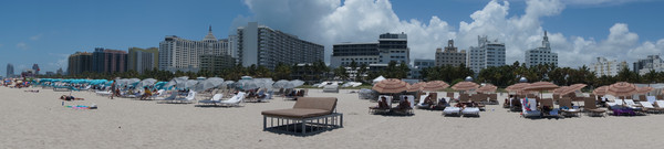 老人旅行欧洲,12位老人游上海