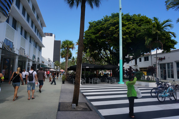 老人旅行欧洲,12位老人游上海