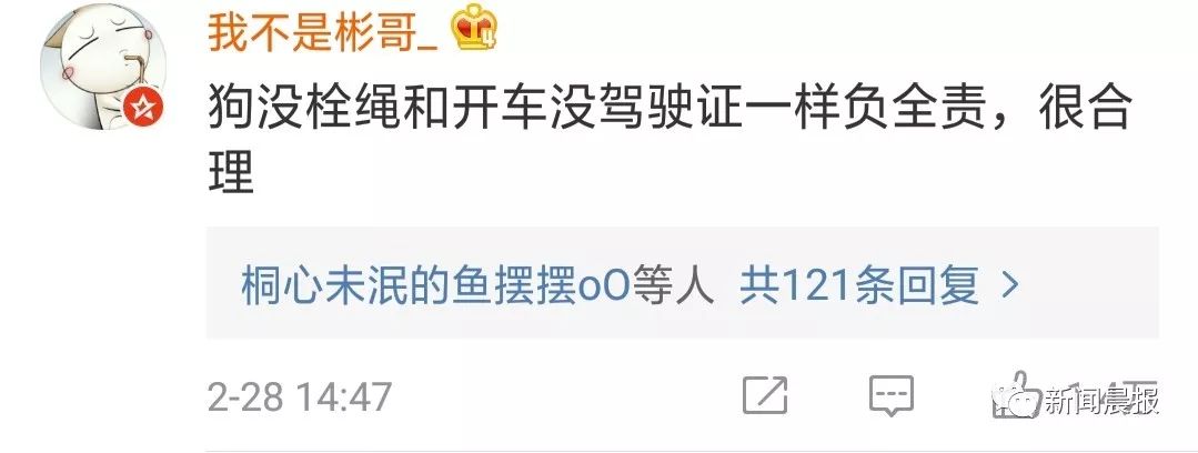 又是遛狗不牵绳！泰迪起身走了两步吓得老人摔成9级伤残，狗主人被判赔20万！