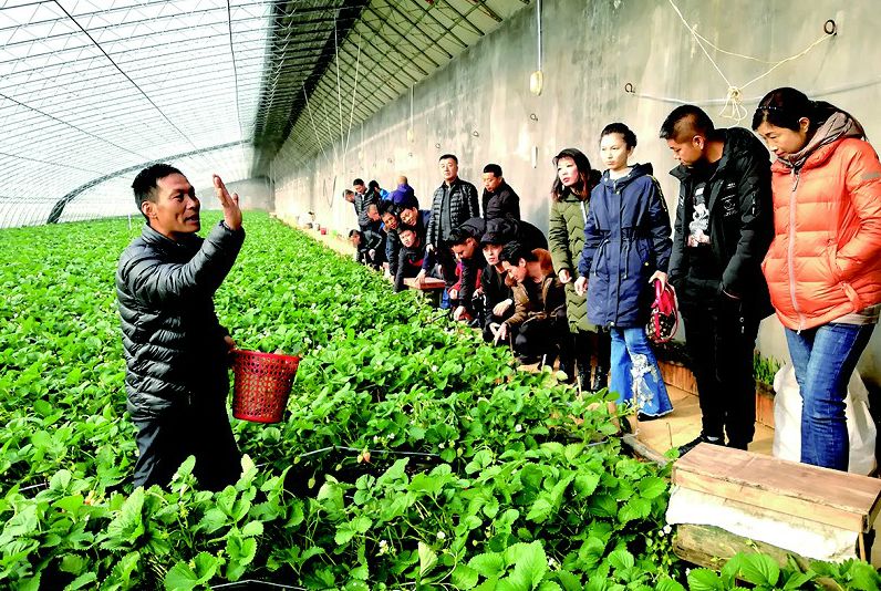 「吉农采风」吉林青年农场主，走进临沂学本领