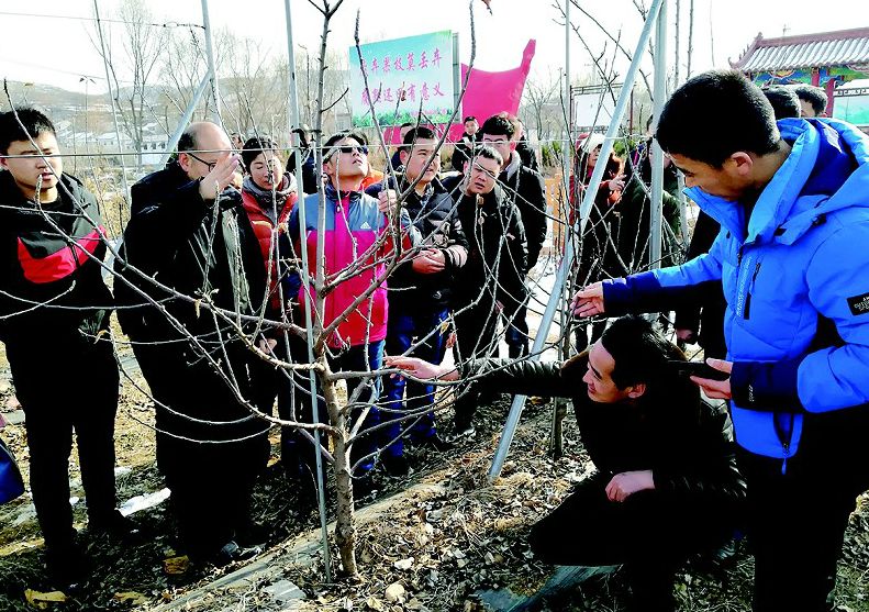 「吉农采风」吉林青年农场主，走进临沂学本领