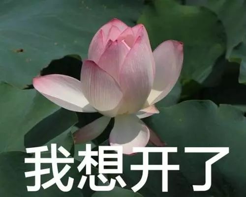 最担心的事还是发生了！杭州姑娘因穿没干透的*裤内**，结果住院了