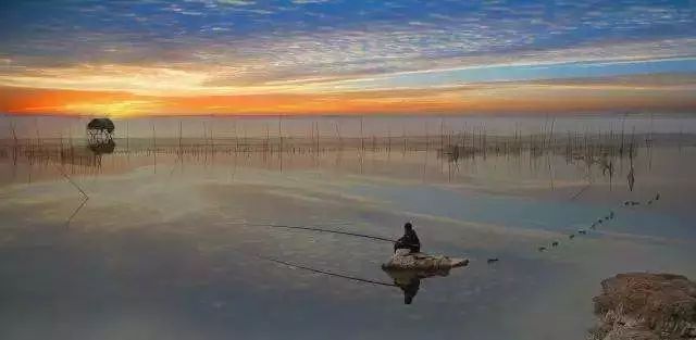 武汉六大湿地公园,百湖之市武汉