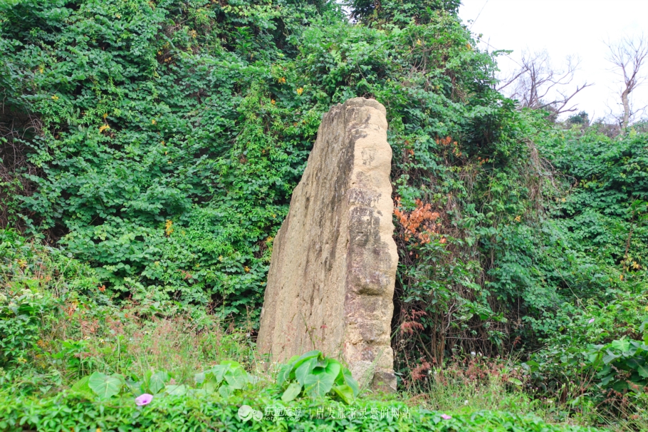 广东珠海古代宝藏之谜,珠海东澳岛全貌