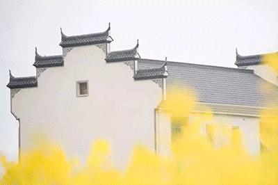 山美水美人美，还入选“中国民间文化艺术之乡”！东阳这个地方让你去了就忘不了